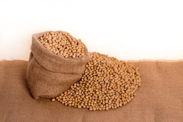 L4roY4oa-soybeans-2039637_1920