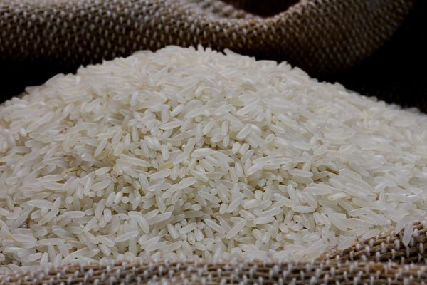 arroz-rastreado-embrapa