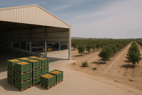 cna-discute-exportacoes-capacitacao-e-sanidade-da-fruticultura-em-juazeiro