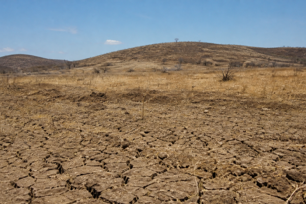 cop17-da-desertificacao-comeca-na-mongolia-com-foco-em-solo-seca-e-pastagens