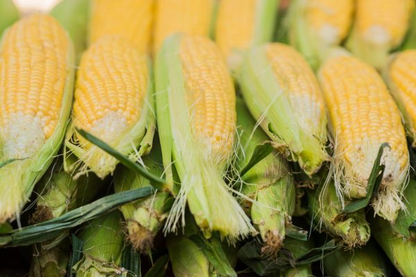 corn-cob-green-leaves-fresh-sweet-corn-farmers-market-closeup-sweet-boiled-corn-market-2