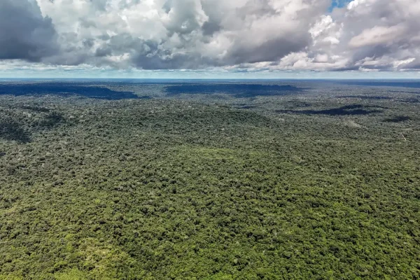 dji_20260514133612_0223_d_55279773377_o