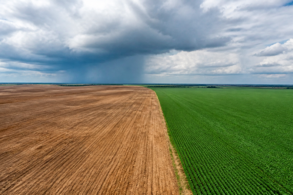 el-nino-muito-forte-eleva-risco-para-plantio-no-centro-oeste-e-no-matopiba