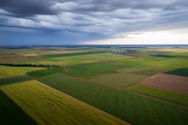 estudo-da-fgv-agro-relaciona-renegociacao-de-dividas-a-expansao-do-seguro-rural