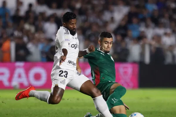 palmeiras_brasileirao