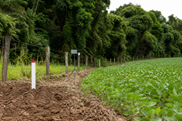 produtores-do-rs-tem-ate-30-de-junho-para-informar-ocorrencia-de-javalis