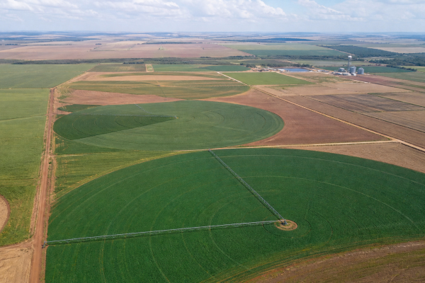 slc-agricola-projeta-ampliar-em-2-2-a-area-plantada-na-safra-2026-27