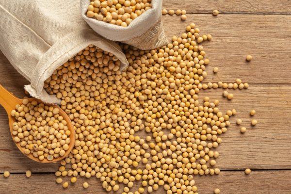 soybean-seeds-wooden-floor-hemp-sacks-food-nutrition-concept-4
