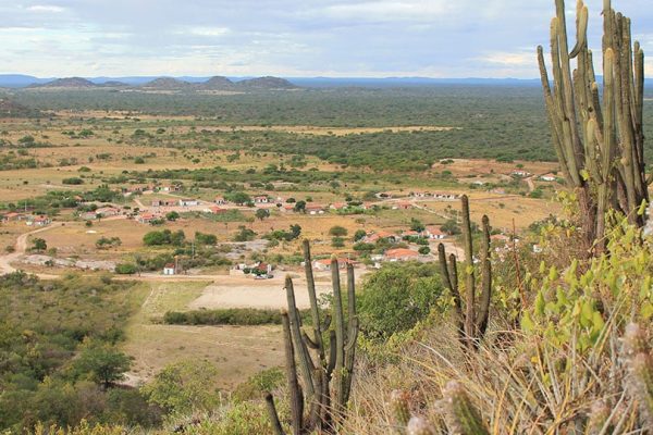 uEvjxb1k-caatinga-foto-coopercuc